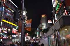 DSC_0009