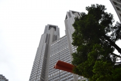 DSC_0088