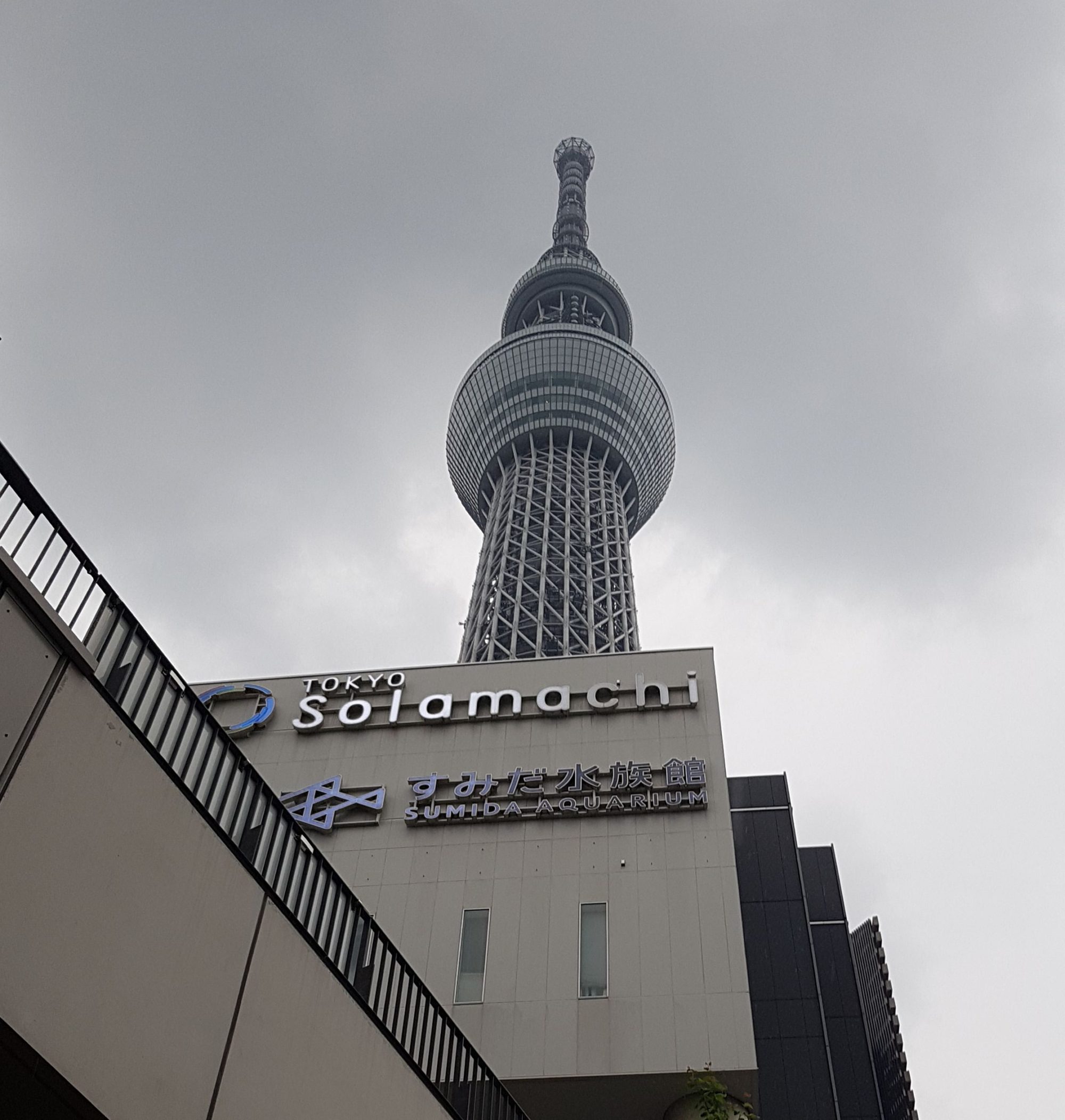 Big In Japan